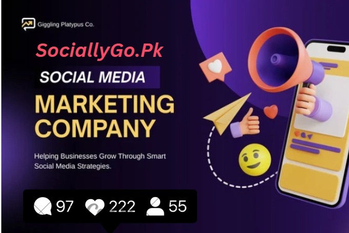 https://sociallygo.pk/buy-instagram-followers-pakistan/